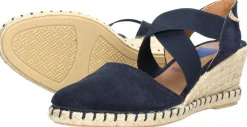 Verbenas Mila Blauw Hot