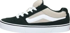 Vans MN Caldrone Groen Fashion
