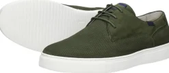 Australian Morris Groen Online
