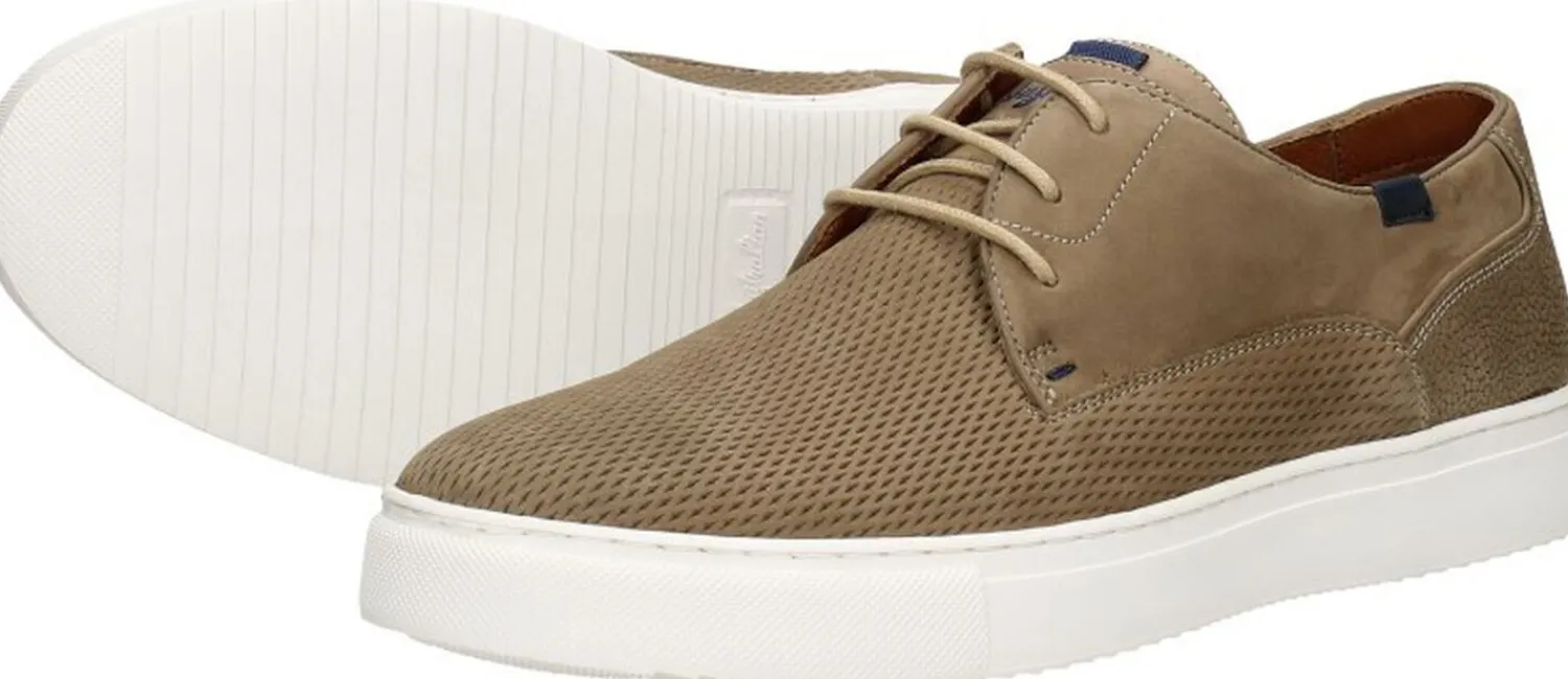 Australian Morris Beige Online