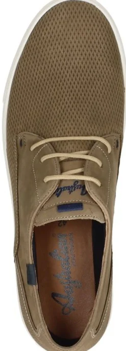 Australian Morris Beige Online