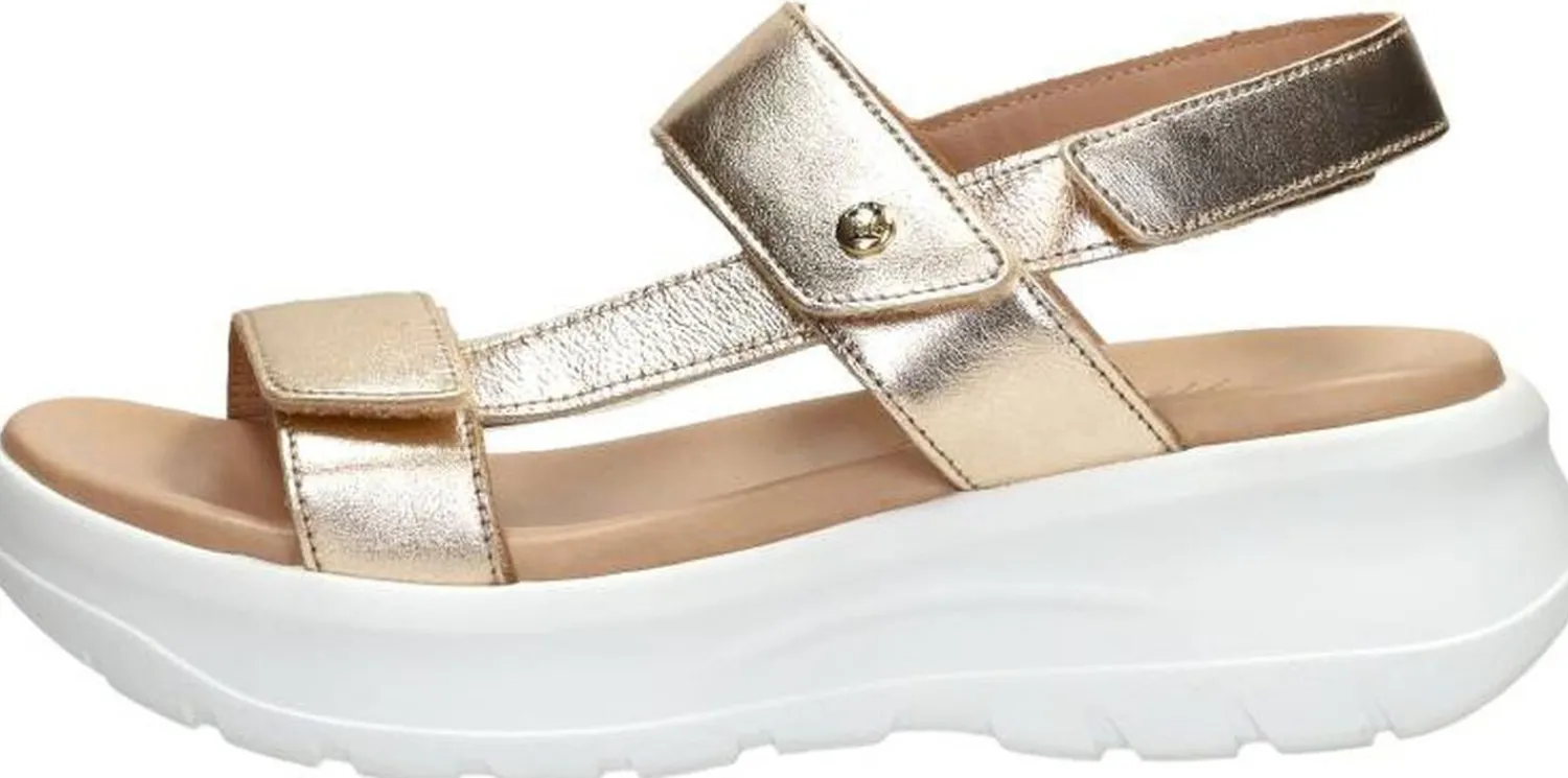 Panama Jack Noor Goudkleur Clearance