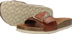 Cosmos Open Teen Cognac Online