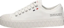 Palladium Palla Ace Wit New
