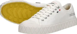 Palladium Palla Ace Wit New