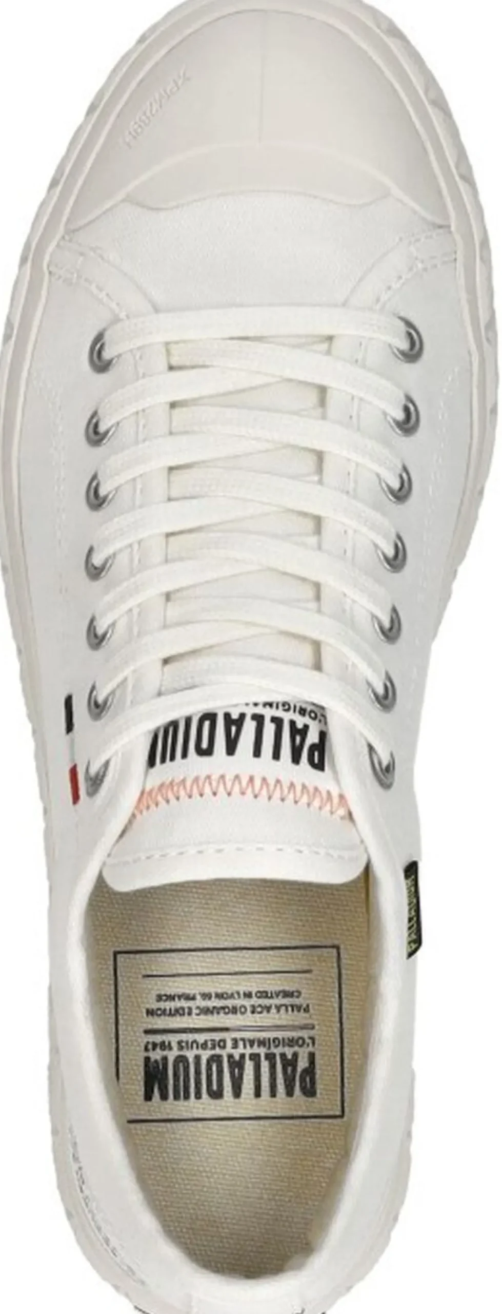Palladium Palla Ace Wit New