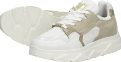 Steve Madden Poppy Wit Hot