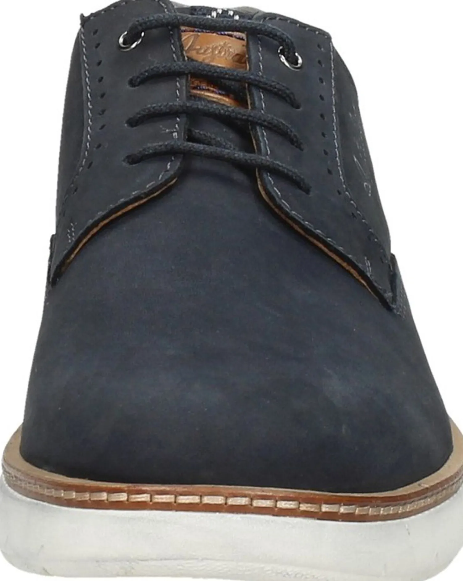 Australian Preston Blauw New