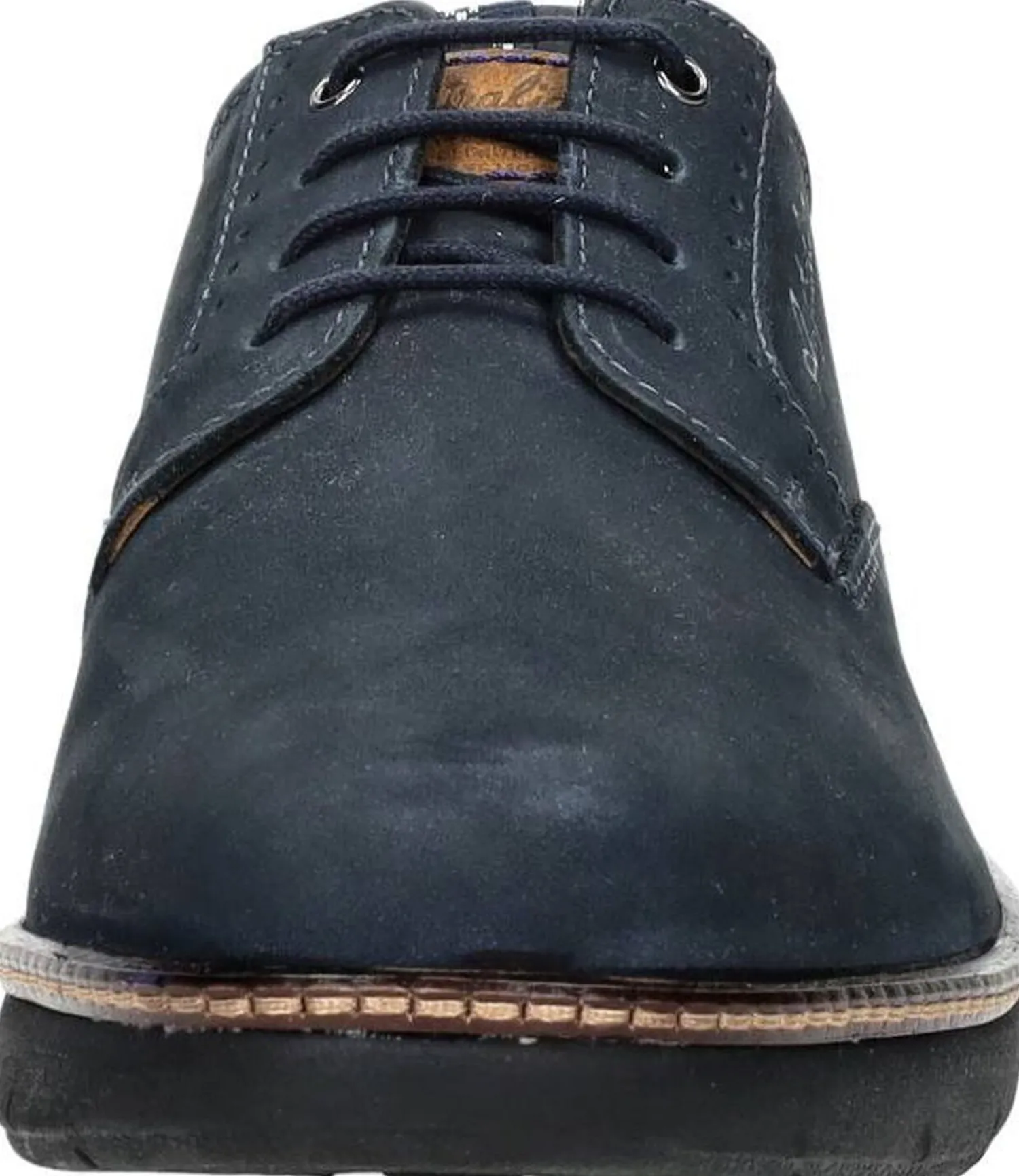Australian Preston Blauw Best