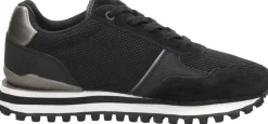Bjorn Borg R2010 KNT MET W Zwart Online