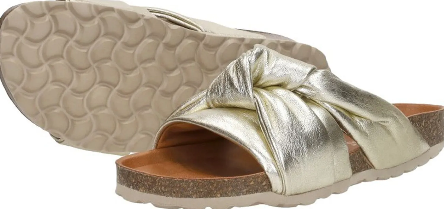 Verbenas Rainbow Goudkleur Best