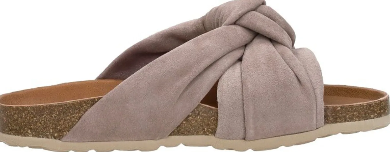 Verbenas Rainbow Taupe Clearance