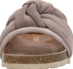 Verbenas Rainbow Taupe Clearance