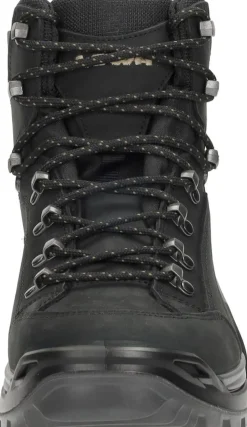 Lowa Renegade Evo GTX Mid Zwart Online
