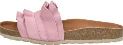 Verbenas Rocio Roze New