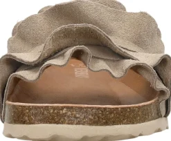 Verbenas Rocio Taupe Online