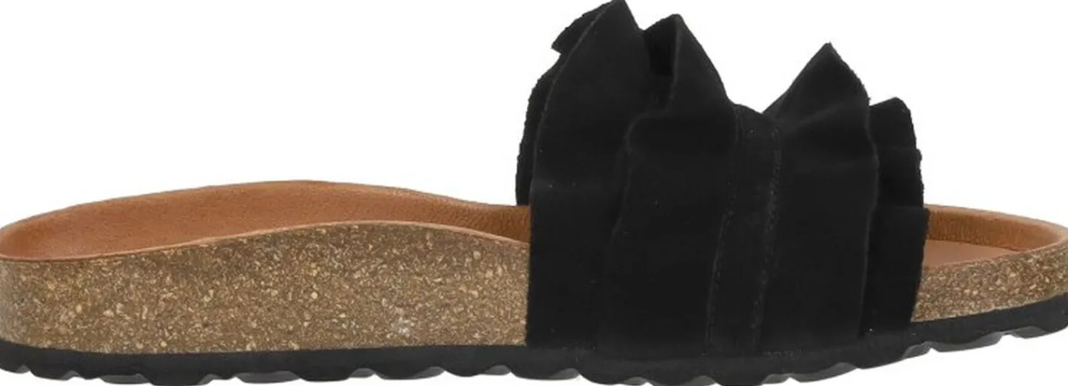 Verbenas Rocio Zwart New