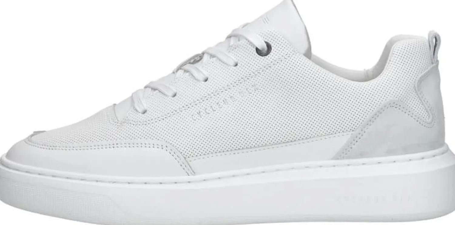 Cycleur De Luxe Roturier Wit Outlet