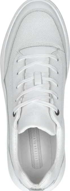 Cycleur De Luxe Roturier Wit Outlet