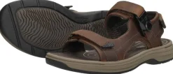 Clarks Saltway Trail Donkerbruin Hot
