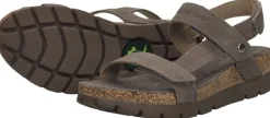 Panama Jack Selma Taupe Outlet
