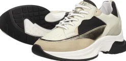 Red Rag Sneakers Laag Goudkleur Online