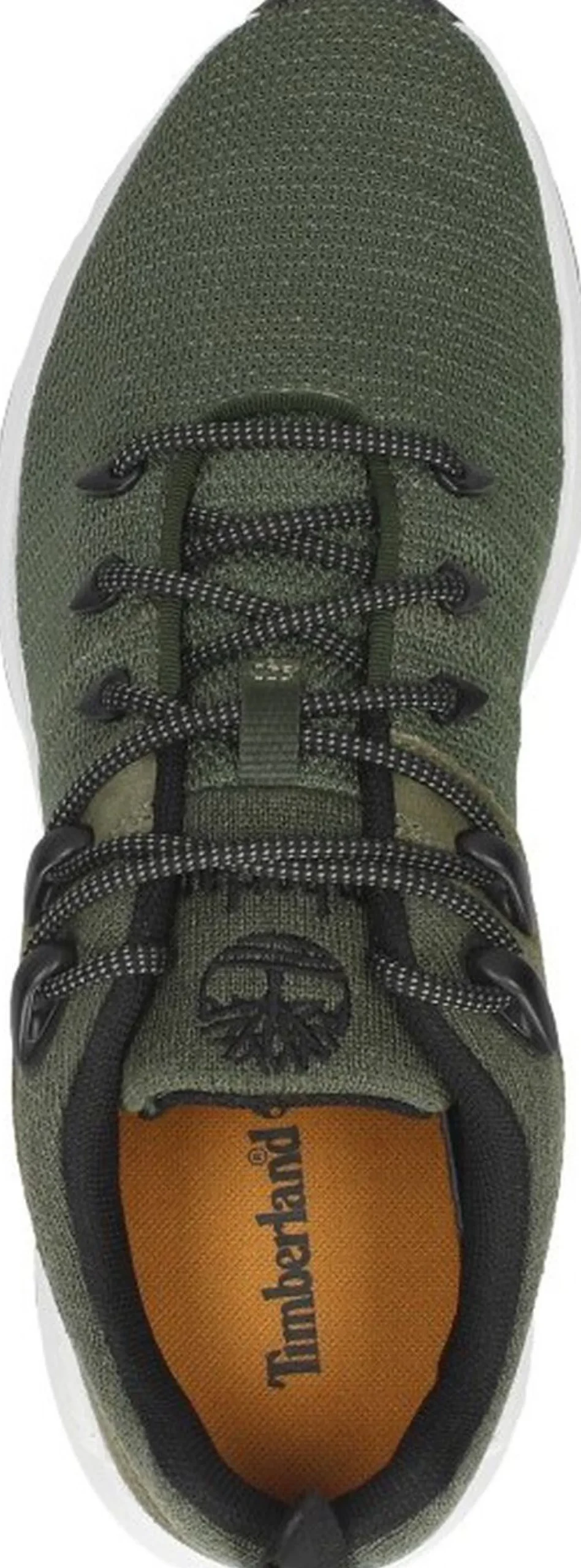 Timberland Sprint Trekker Low Knit Groen Fashion