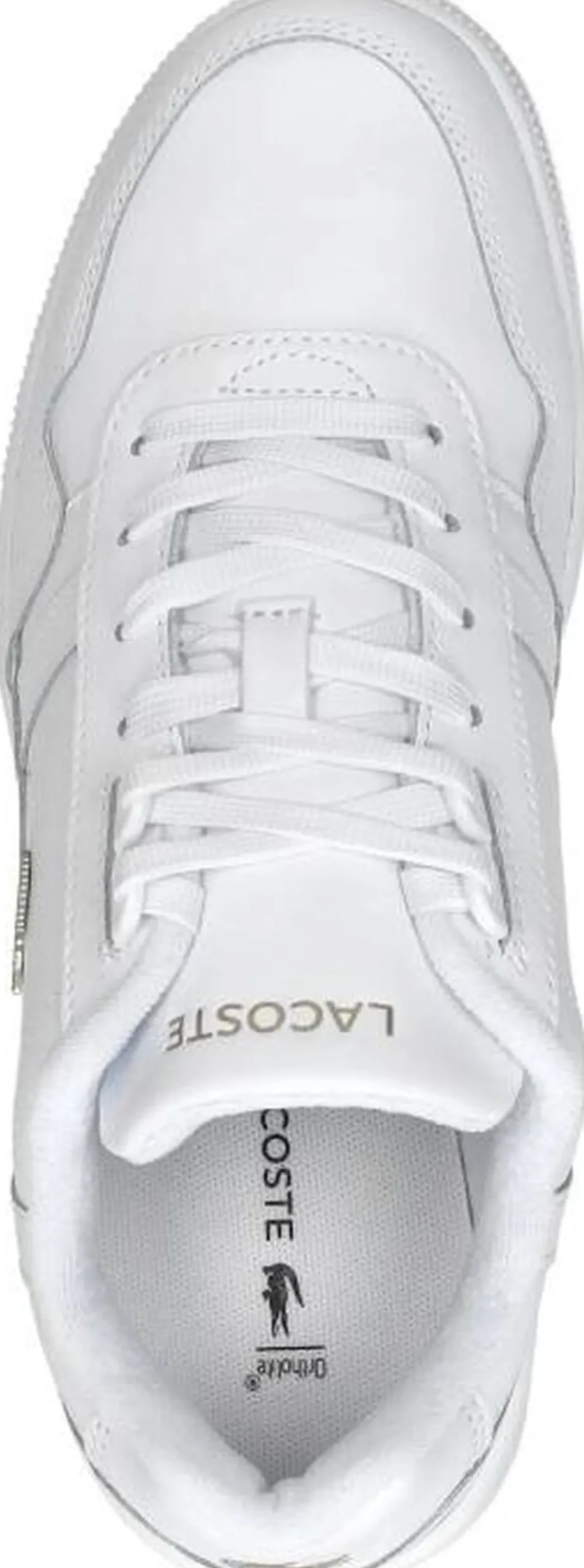 Lacoste T Clip Wit Discount