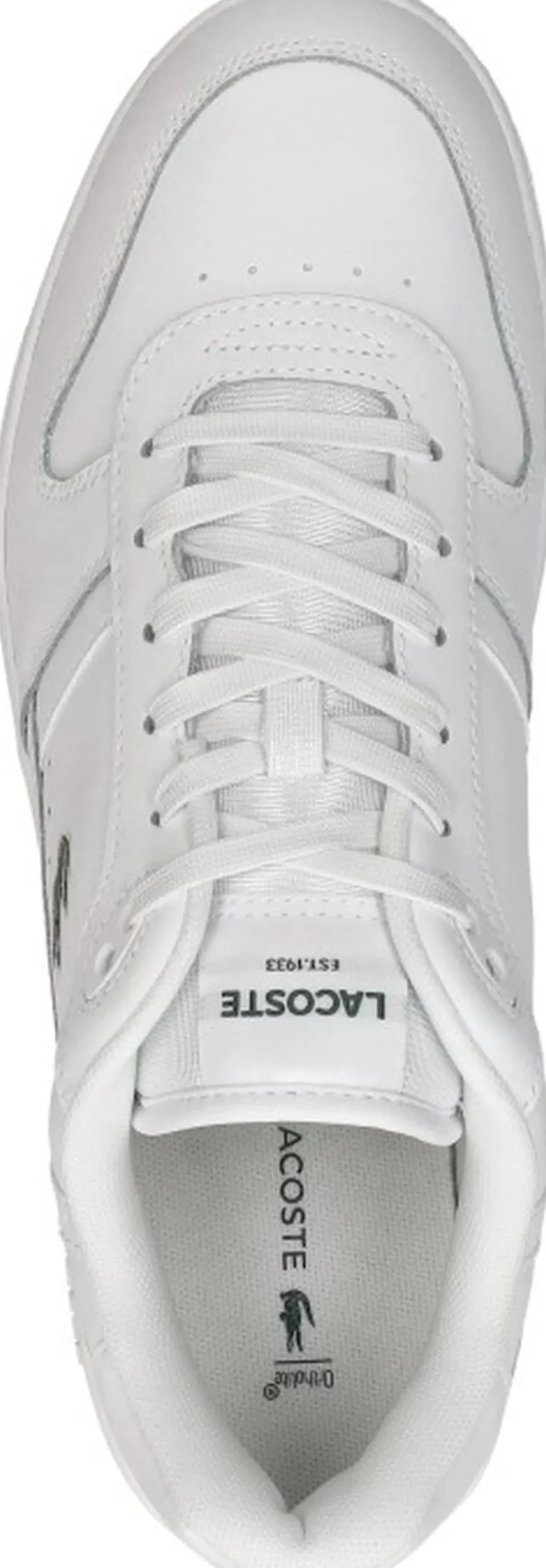 Lacoste T Clip Wit Online