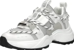 Steve Madden Tazmania Wit New