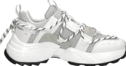 Steve Madden Tazmania Wit New