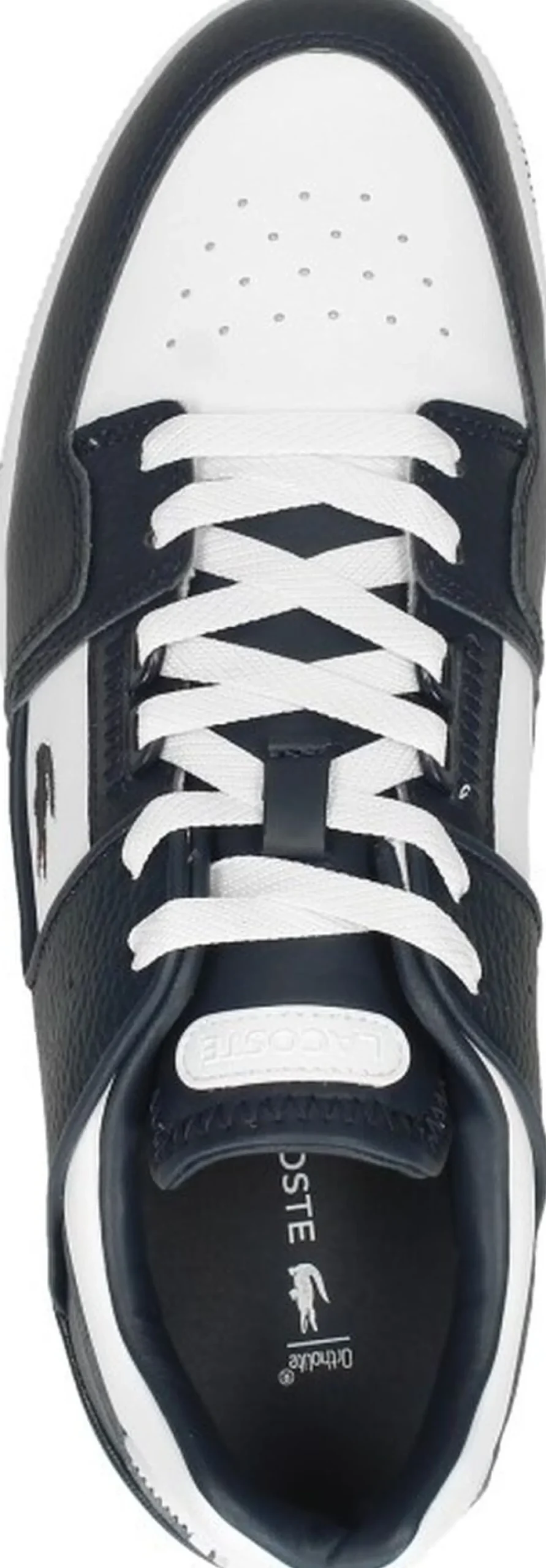 Lacoste T-Clip Blauw Clearance
