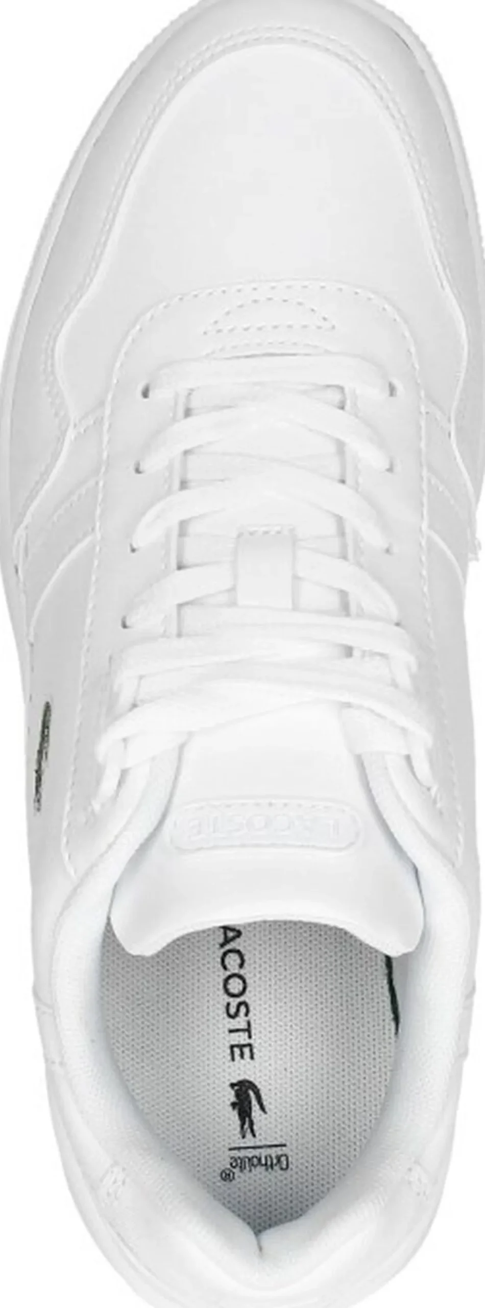 Lacoste T-Clip Wit Best