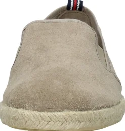 Verbenas Troy Taupe Online