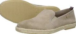 Verbenas Troy Taupe Online