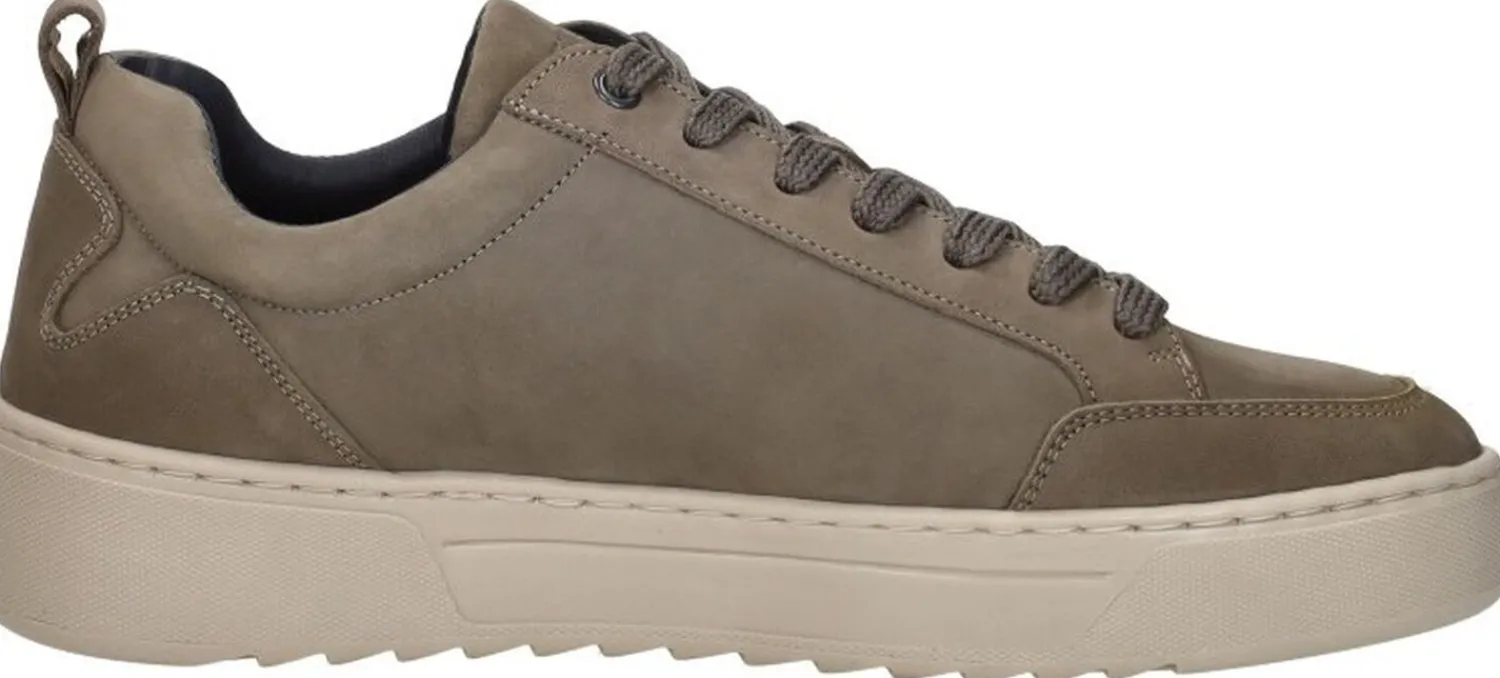 Cycleur De Luxe TS2 Taupe New