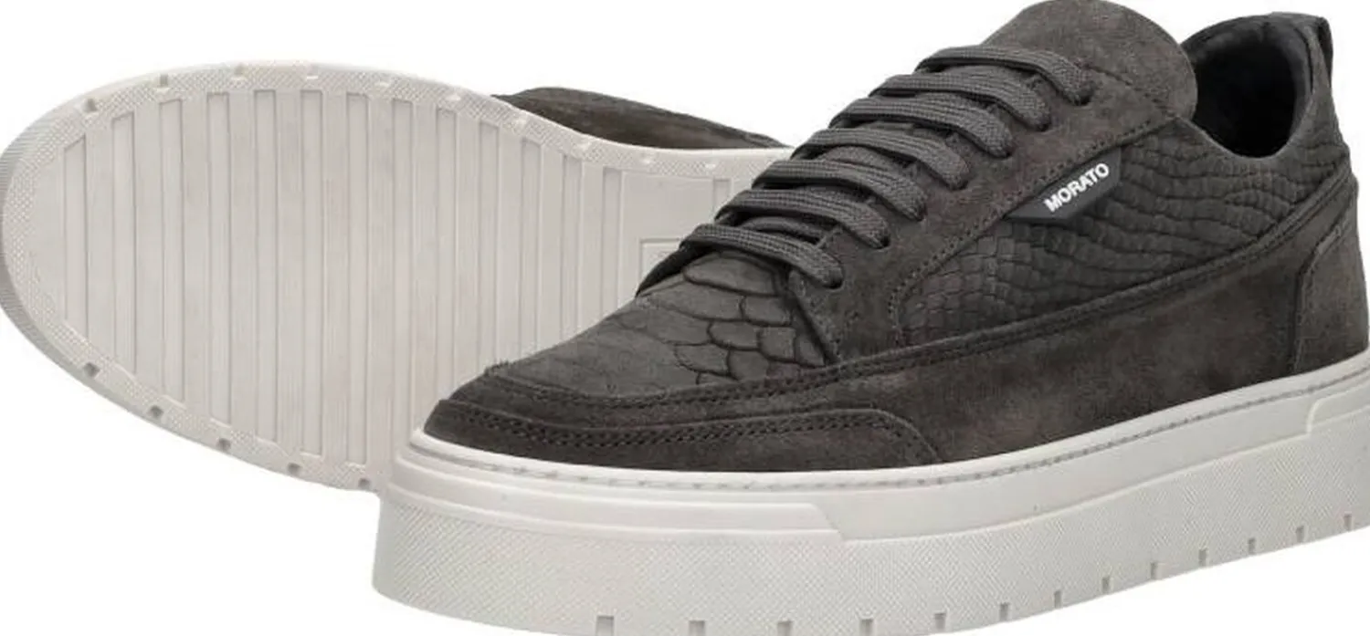 Antony Morato Veterschoenen Laag Donkergrijs Fashion