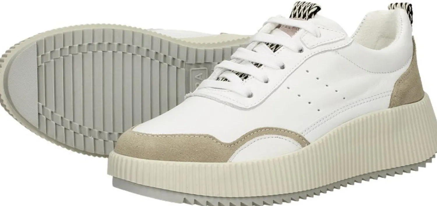 Palpa Veterschoenen Laag Gebroken wit Hot