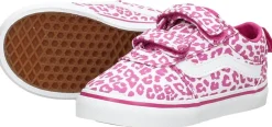 Vans Ward V Fuchsia Clearance