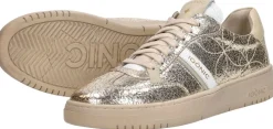 Iqonic Wish Legacy Goudkleur Sale